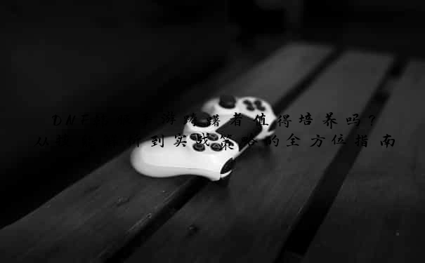 DNF韩服手游踌躇者值得培养吗？从技能解析到实战策略的全方位指南